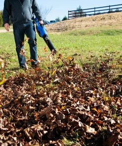 Kobalt Cordless Electric Leaf Blowers 80-volt Max 630-CFM Brushless Handheld Cordless Electric Leaf Blower (Tool Only) 17 Kobalt Cordless Electric Leaf Blowers 80-volt Max 630-CFM Brushless Handheld Cordless Electric Leaf Blower (Tool Only) -Cheap Kobalt Store 10216808